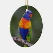 Rainbow Loriket Trichoglossus Haematodus Parrot Keramisch Ornament (Rechts)