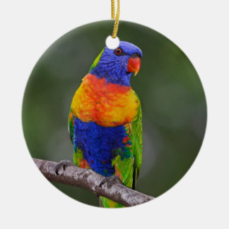 Rainbow Loriket Trichoglossus Haematodus Parrot Keramisch Ornament