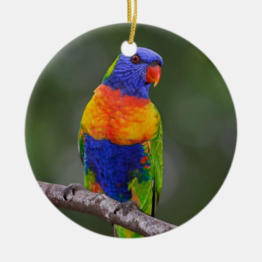 Rainbow Loriket Trichoglossus Haematodus Parrot Keramisch Ornament (Voorkant)