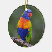 Rainbow Loriket Trichoglossus Haematodus Parrot Keramisch Ornament (Links)