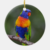 Rainbow Loriket Trichoglossus Haematodus Parrot Keramisch Ornament (Achterkant)