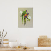 Rainbow Loriket - Trichoglossus haematodus Poster (Keuken)