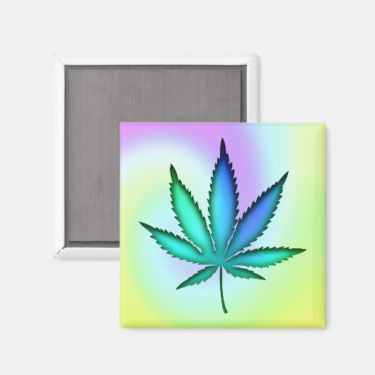 Rainbow Love Magneet (Voorkant / Achterkant)