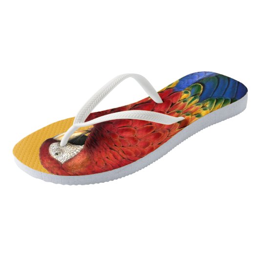 Rainbow Macaw Parrot Lover Bold en Summery Teenslippers (Schuin)