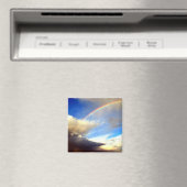 Rainbow Magnet (Insitu (Vaatwasser))