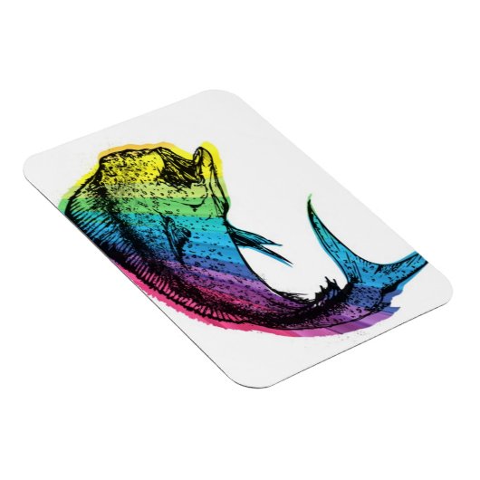 Rainbow Mahi Mahi Magneet (Rechterzijde)