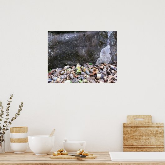 "Rainbow Man" Petroglyph, Maui, Hawaii Poster (Keuken)