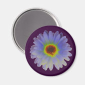 Rainbow Marigold Magnet (Voorkant / Achterkant)