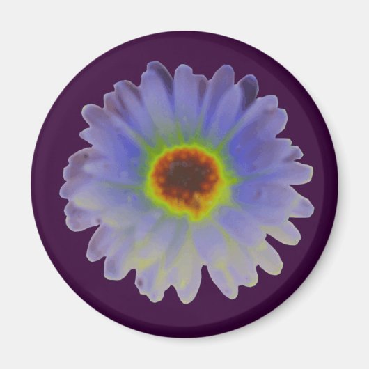 Rainbow Marigold Magnet (Voorkant)