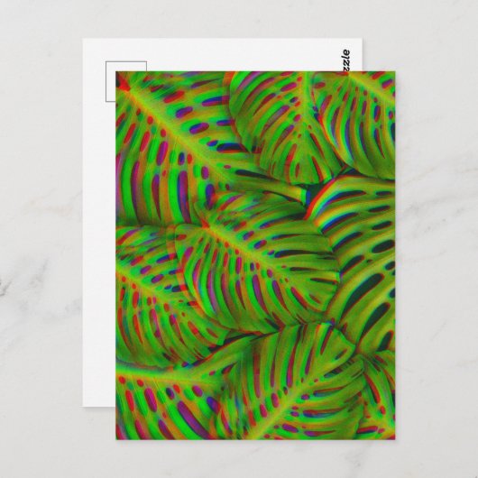 Rainbow Monstera laat Briefkaart over (Voorkant / Achterkant)