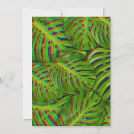 Rainbow Monstera laat Briefkaart over (Voorkant)
