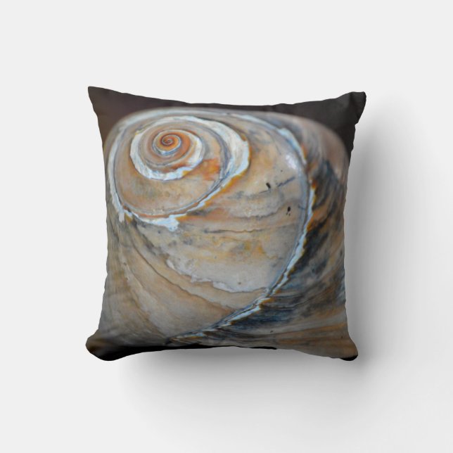 Rainbow Moonsnagel Kussen (Voorkant)