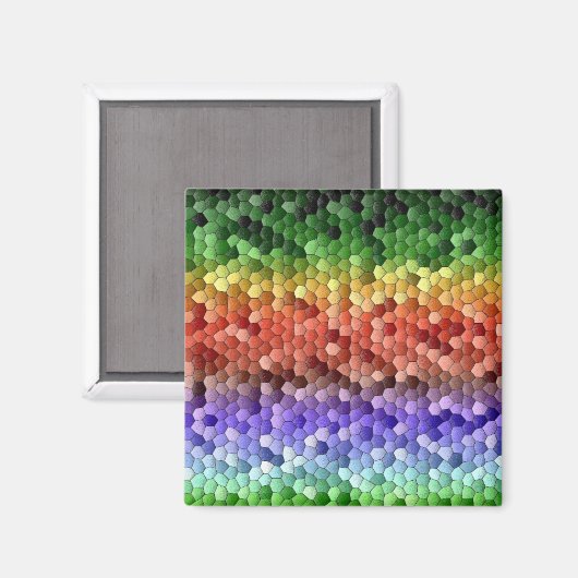 Rainbow Mosaic Pattern Magneet (Voorkant / Achterkant)