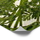 Rainbow Multicolored Carrots Square Poster (Hoek)