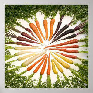 Rainbow Multicolored Carrots Square Poster