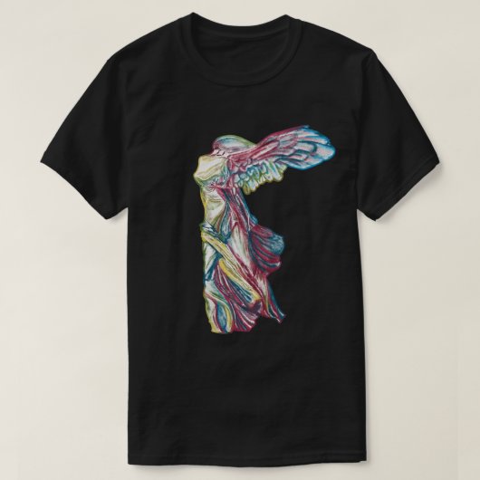 Rainbow Nike van Samothraciaanse kunstgeschiedenis T-shirt (Design voorkant)