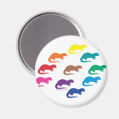 Rainbow Otters Magneet (Voorkant / Achterkant)