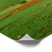 Rainbow Over Hills, oostelijk Kaapje, Zuid-Afrika Poster (Hoek)