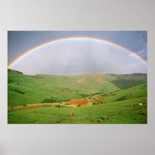 Rainbow Over Hills, oostelijk Kaapje, Zuid-Afrika Poster