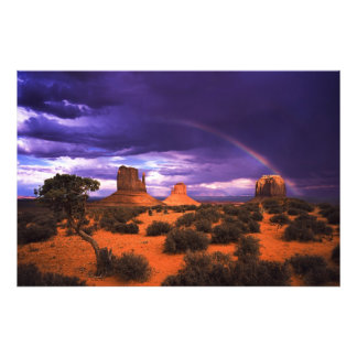 Rainbow over Monument Valley Photo Print Foto Afdruk
