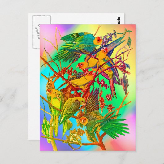 Rainbow Parrot Parade Briefkaart (Voorkant / Achterkant)