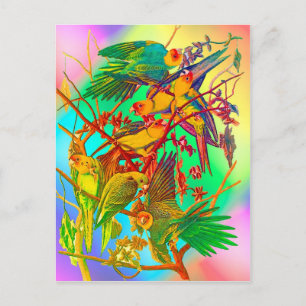 Rainbow Parrot Parade Briefkaart