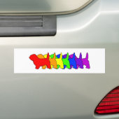 Rainbow PBGV Bumpersticker (Op auto)