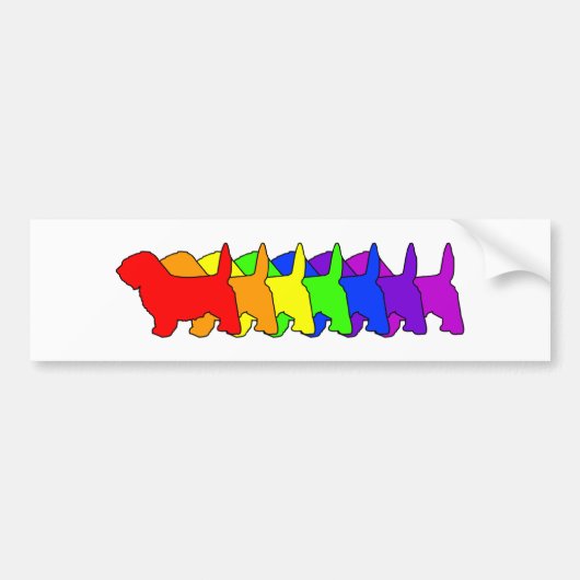 Rainbow PBGV Bumpersticker (Voorkant)