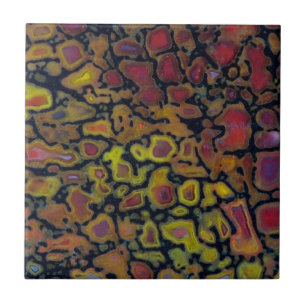 Rainbow Petrified Dinosaur Bone Tegeltje