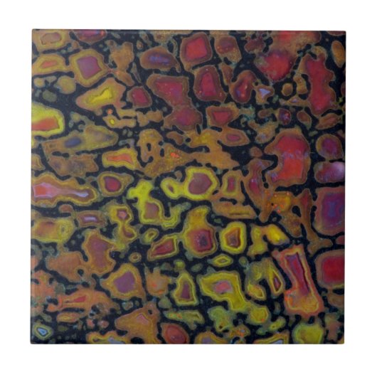 Rainbow Petrified Dinosaur Bone Tegeltje (Voorkant)