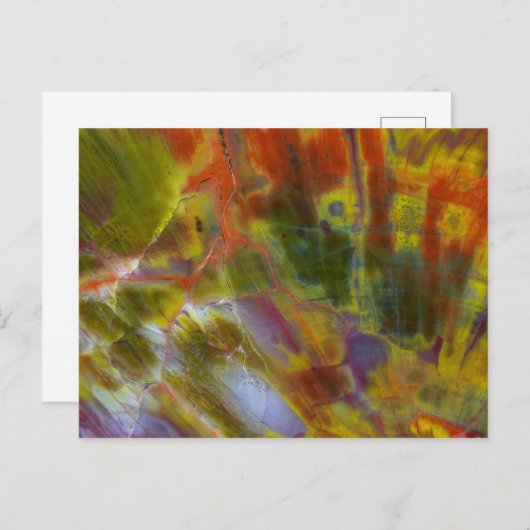 Rainbow Petrified Wood Briefkaart (Voorkant / Achterkant)