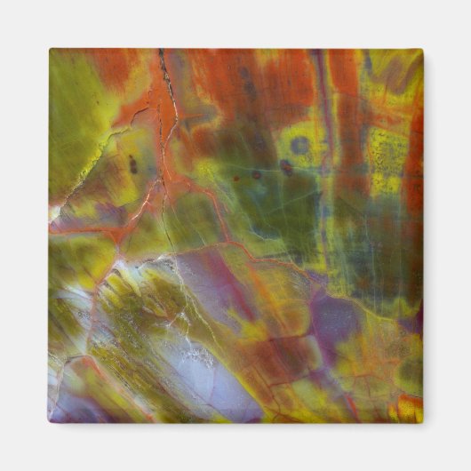 Rainbow Petrified Wood Magneet (Voorkant)