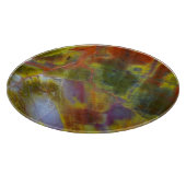 Rainbow Petrified Wood Snijplank (Hoek)
