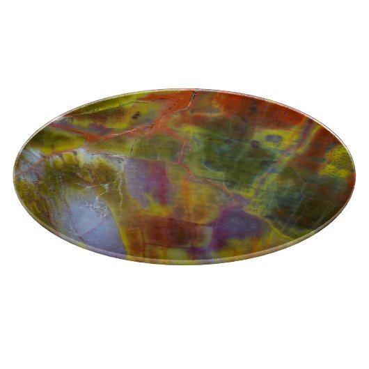 Rainbow Petrified Wood Snijplank (Hoek)