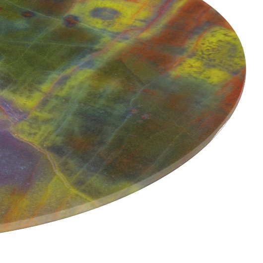 Rainbow Petrified Wood Snijplank (Hoek)