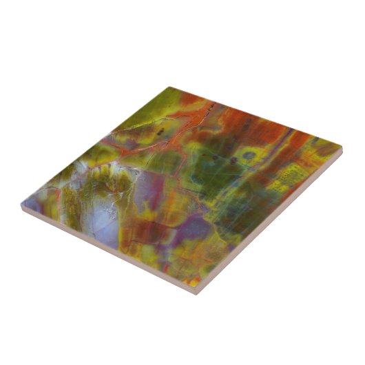 Rainbow Petrified Wood Tegeltje (Zijkant)