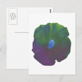 Rainbow Petunia Briefkaart (Voorkant / Achterkant)