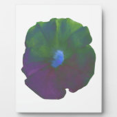Rainbow Petunia Plaque Fotoplaat (Voorkant)