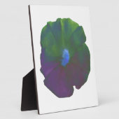 Rainbow Petunia Plaque Fotoplaat (Zijkant)
