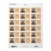 Rainbow Photo Bright Boho Retouradreslabel Etiket (Full Sheet)