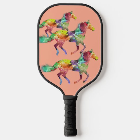 Rainbow Pickle Ball Paddle (Voorkant)