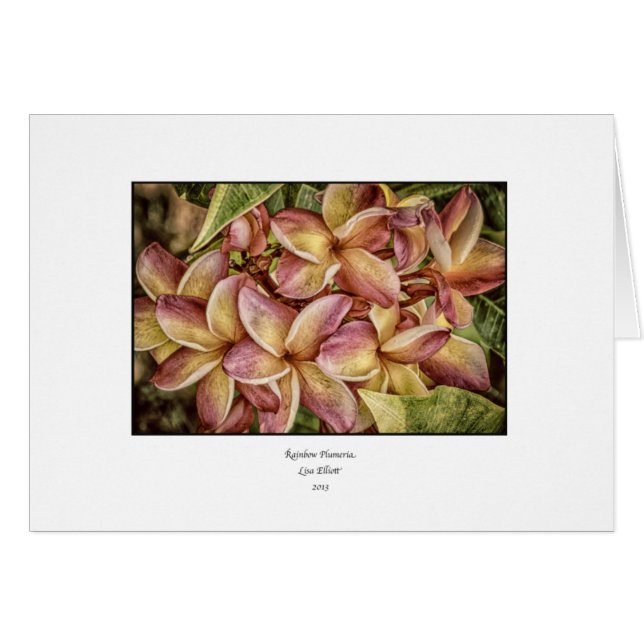 Rainbow Plumeria Blank Card (Voorkant Horizontaal)