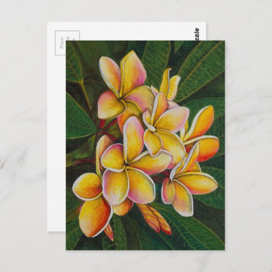 Rainbow Plumeria Briefkaart (Voorkant / Achterkant)