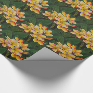 Rainbow Plumeria Cadeaupapier