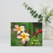 Rainbow Plumeria Flowers, Maui Nō Ka Oi Briefkaart (Staand voorkant)