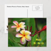 Rainbow Plumeria Flowers, Maui Nō Ka Oi Briefkaart (Voorkant / Achterkant)