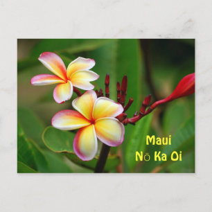 Rainbow Plumeria Flowers, Maui Nō Ka Oi Briefkaart