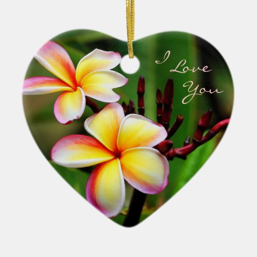 Rainbow Plumeria, ik hou van je Ornament (Voorkant)