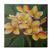 Rainbow Plumeria Tegeltje (Voorkant)