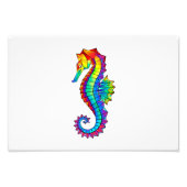 Rainbow Polygonal Seahorse Foto Afdruk (Voorkant)